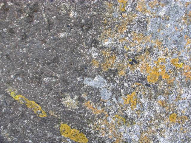 une strate sur notre littoral breton 3